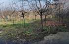 Teren intravilan 345 mp Vidra, deschidere 12 m, ideal pentru - 3