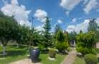 Snagov- Gruiu- Santul Floresti -Proprietate cu stil pentru oameni gospodari! - 40