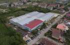 Hală producție/ depozitare de inchiriat Buziaș, Timiș - 4