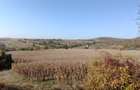 Teren extravilan 5,671mp Cluj-Napoca / Strada Lombului - 1