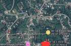 Teren intravilan 3.800 mp Comarnic | Panoramă superbă | Ideal Glamping & Pensiun - 3