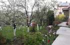 Vanzare apartament 3 camere in vila cu acces la gradina Centru zona Astoria, Clu - 11