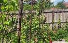 Casă cu 3 camere, garaj și anexe, teren 540 mp, zonă liniștită, fără trafic - 16
