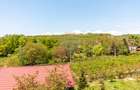 Teren 1.018 la 15 min de Ploiești | premium | zona dealuri - 5