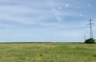 Sos de Centura Pantelimon Vanzare Teren 3,5 HA si 1, 1 HA - Cernica  25400MP - 8