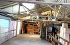 Spatiu comercial stradal Ion Ghica 17 - 2
