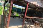Casa P+M, OVIDIU VEST - 172.000 EURO ( COD E2+E7 ) - 11