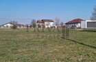 Teren intravilan, 701 mp, fs 17.8 ml, Dumbrăvița - 5