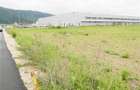 Teren  pentru hale-Ghimbav- Joysonquin,25000mp - 1