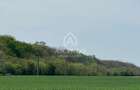 Vanzare teren 7.000 mp – Buftea, zona Tămași | lângă pădure - 2