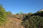 Teren 3100mp Simnicu de Sus | Romanesti |