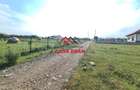 Teren intravilan in Campina, 7500mp--35e - 3