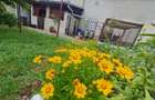 Casa cu vatra traditionala, gradina, garaj, facilitati, Codlea, Brasov - 27