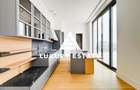 Penthouse exclusivist 4 camere clădire boutique zona Gradina Icoanei - 4
