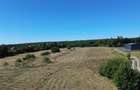 TEREN INTRAVILAN 6.200 MP | MITOCU DRAGOMIRNEI | 180,15 ML DESCHIDERE | 12 KM DE