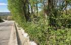 Vand teren intravilan in Albesti de Muscel