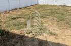 Duplex de vanzare cu 4 camere si 2 bai ,Ghiroda
