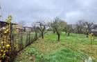 Vila de vanzare in Branistea, teren 2665 mp - 20