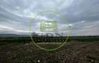 Teren Intravilan 1900mp, Zona D Targul Obor - 2
