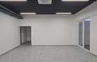 Hala/Showroom/Birouri de închiriat, str. Ogorului / cart. Grigorescu-H0031 - 2