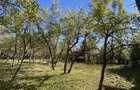 Casa+teren 2713 mp in loc. Babana, jud. Arges. Comision 0% - 5