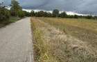 Vand teren Intravilan 1400 MP in Parcul National Comana - Vlad Tepes - Giurgiu - 12