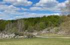 TEREN EXTRAVILAN | 103.000mp | BALANACA-GROSI | PASUNE | PASUNE IMPADURITA | BIH - 3