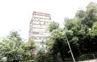 TEIUL DOAMNEI, BLOC 1984, DECOMANDAT, RENOVAT, NEMOBILAT, 0% COMISION! - 12