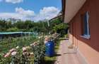 Vila, Republicii, Bacau - 4