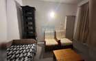 COMISION 0% Ap. 2 camere renovat, PET FRIENDLY, Andrei Mureșanu - 12