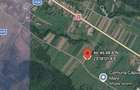 Teren de vanzare in Capusu Mare , ideal pentru investitie. - 1