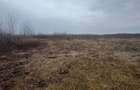 Teren extravilan Bușag 82 ari, plan drept, lângă Lăpuș, acces drum - 3