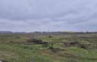 Teren intravilan 31497 mp - Chitila zona industriala de hale - 1