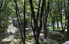     Apartament 2 camere decomandat, 63 mp, 200 m de Metrou Brancoveanu, etaj 1 - 10