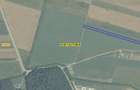 COMISION 0% Teren Extravilan 10.000 mp, Front 15,6ml, Langa Padurea Giroc - 4