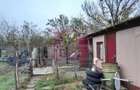 ILFOV - SE VINDE CASA IN ISLAZ / COM. BRANESTI - 47