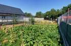 Cernica-Sat Posta, 600 m.p., toate utilitatile, ingradit,ideal investitie. - 15