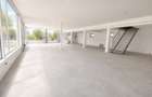 Spațiu comercial de inchiriat cu vizibilitate, Oradea, Bihor - 3