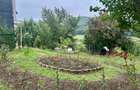 Casă P+M Chicerea Tomesti cu 2.200 mp teren, 30 ml la asfalt, livadă matură și mansardă - 8