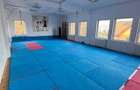 COMISION 0% Spatiu Comercial I 1350 MP I Manastur - 11