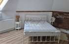 Apartament tip casa cu terasa si curte cu acces separat in Marasti - 10
