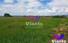 Oportunitate Teren Intravilan 9000mp-Turnisor - 1