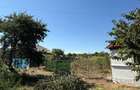 teren intravilan/loc de casa Jurilovca - 1