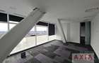 Birou premium in zona Piata Victoriei - 5