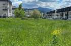 TEREN INTRAVILAN - 1
