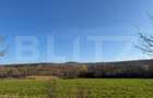 5 terenuri extravilane agricole cu suprafata totala de 13.374 mp - 2