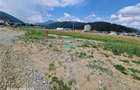 Teren intravilan, 468 mp, Sacele, Brasov - 5