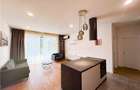 Apartament cu 2 camere de inchiriat One Timpuri Noi - 6