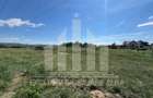 Teren intravilan | 450 mp | 13 ml deschidere | Alba-Micesti - 3