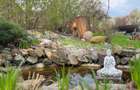 De vanzare 0,75ha cu doua case, gradina, livada etc Ideal camping, tabere, ferma - 11